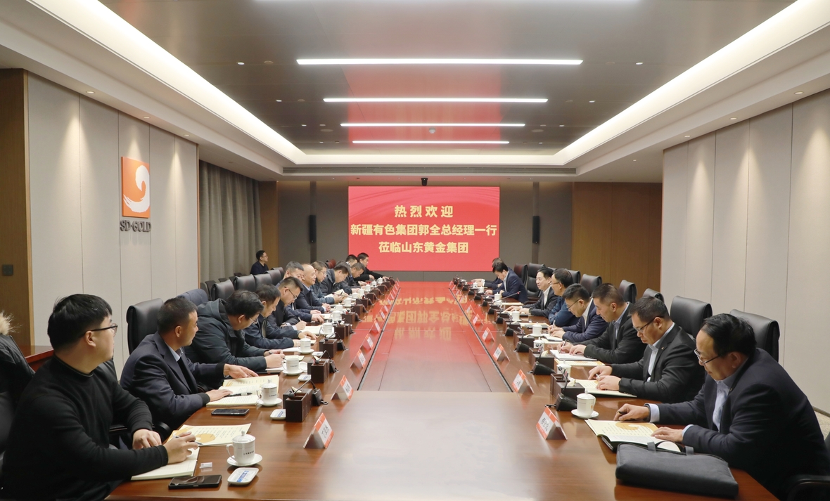 PP电子(中国集团)有限公司官网